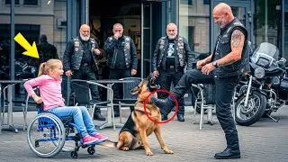 A Man Kicked a Girl&rsquo;s Loyal Shepherd for Fun &mdash; Until He Learned the Dog&rsquo;s True Identity!