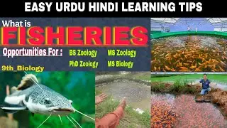 What is FISHERIES in 9th Grade Biology? #fisheries #9thbiology #fisheriesscience #fishing #fish
