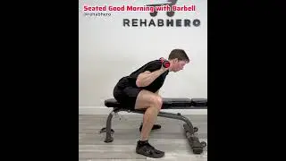 Seated Good Morning with Barbell