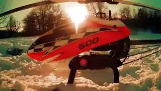Logo 600 Winter Flight