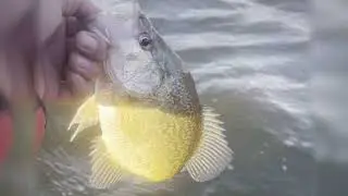 Fort Pond Montauk kayak fishing fall 2024
