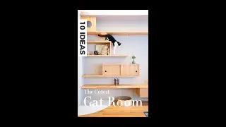 10 THE CUTEST CAT ROOM IDEAS
