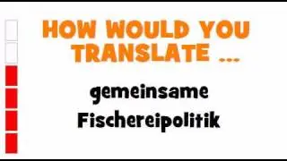 GERMAN TRANSLATION QUIZ = gemeinsame Fischereipolitik