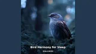 Bird Harmony for Sleep: Soothing Natural Melodies, Pt.8