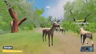 Oh Deer Stupid Moments