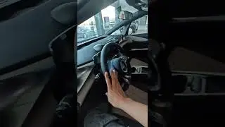 BYD Dolphil
