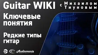 7. Редкие типы гитар: резонатор, русская семиструнка, баритон