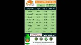 jhk market prices | Ts market prices | Today Paddy market prices in Telangana |       @jaihokisan