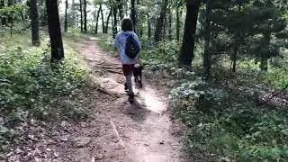 Hollow Rock Trail at Rocky Face Park