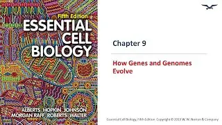 How Genes and Genomes Evolve