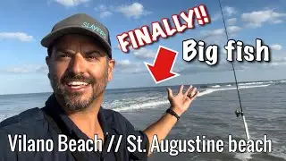 FINALLY! BIG FISH are swimming in Vilano beach/Surfside park