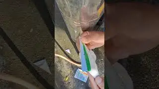 Paano nga ba mag control o pumuksa sa Stemborer, Brown Planthoppers,Green Planthoppers at mga oud.