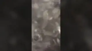 11 de janeiro de 2026