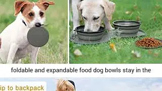 Collapsible Dog Bowls Water, Portable Travel Pet Food Feeding Cat Bowl