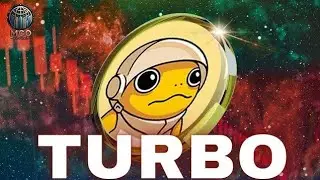 Turbo Memecoin Elliott Wave Price Update: Understanding the Bullish and Bearish Scenarios