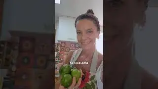 Limpeza consciente na cozinha