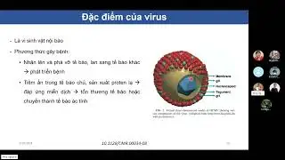 Immuno_seminar 30: Virus and Cytomegalovirus specific immunity