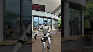 #Robot & Robotic Dog Show at #FanjingMountain Draws Crowds! 🤖🐕 #RoboticDog #MustVisitGuizhou