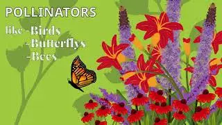 Pollinators