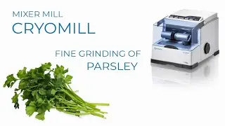 Cryogenic grinding of parsley in Cryomill - RETSCH