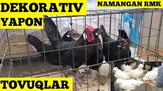 DEKARATIVNI YAPON TOVUQLAR NAMANGAN RMK BOZORI 