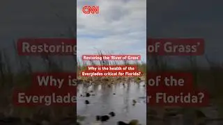 Restoring the 'River of Grass' &ndash; Why is the health of the Everglades critical for Florida?