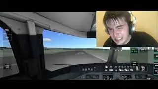 Bird strike in rfs #plane #bird #meme