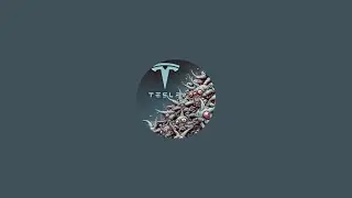 Tesla Roast Hub is live! cannonball run  failure and FSD, cruise control lockout problem