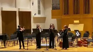 Adagio for 4 violas by Mathias Durst