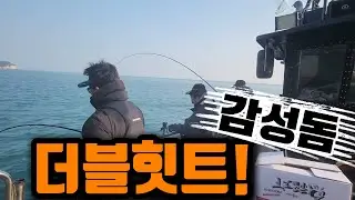 [Fishing Talk] A good sized red sea bream in a cold wind!!
