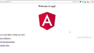 Cannot read property 'NullLogger' of undefined - Angular 5