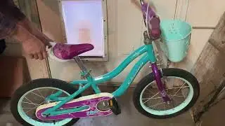 Honest Review of Schwinn Koen & Elm BMX Style Toddler and Kids Bike