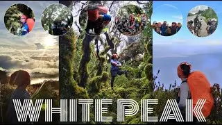 Day 2: Mt. Pandadagsaan (White Peak) || Davao de Oro Mossy Forest || GoPro Hero 7