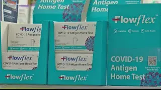 Central Georgia doctor explains pros and cons of PCR, rapid tests for detecting COVID-19