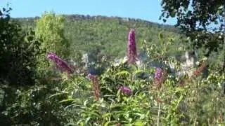 Les Bords Du Tarn S&eacute;jour Nature et D&eacute;couverte en famille