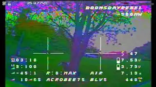 AcroBee75 My First Tree Gap Attempts - Caddx Ant Low Light Camera