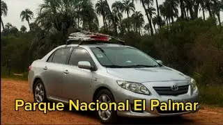 📍 Conoci&eacute;ndo y Aventurando Camping y el Parque Nacional El Palmar Entre R&iacute;os  Argentina !!!