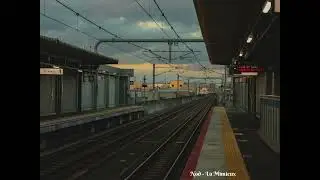 [playlist] Calming the chaos in my mind