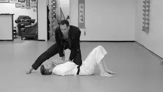 Guard Pass Concepts by Roy Dean