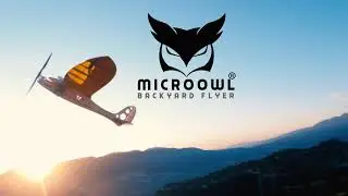 Micro Owl Zen Flight