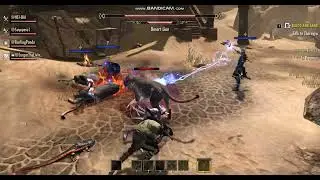 ESO - Desert Lion Boss - Volenfell Dungeon