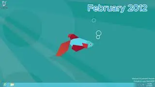 Windows 8/8.1 evolution 2010-2013