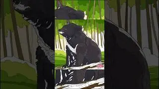The black big bear 🐻 picture colour game