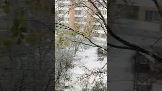 Snowfall in Berlin, Germany