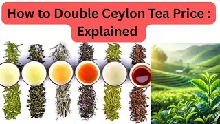What Structural and System change want for Ceylon Tea explained \ #tea #ceylontea #export #market