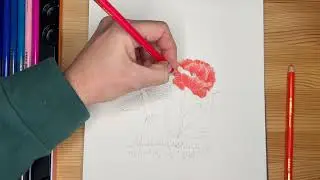 Красочный рисунок карандашами WOOMER.