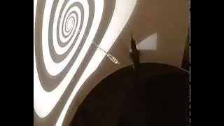 UBC team finds a glitch in hummingbird hovering