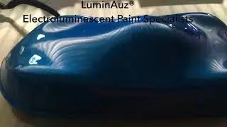 LuminAuz&reg; Elactroluminescent Paint Specialists
