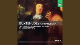 Passacaglia in D Minor, BuxVW 161 (Transcr. A. Stradal for Piano)