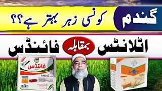 Atlantis vs Findus || Which is better herbicide for wheat crop || Crop Reformer